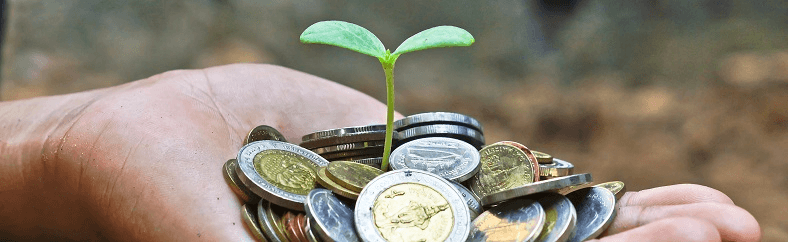 Benefits of Financial Wellness for Employees