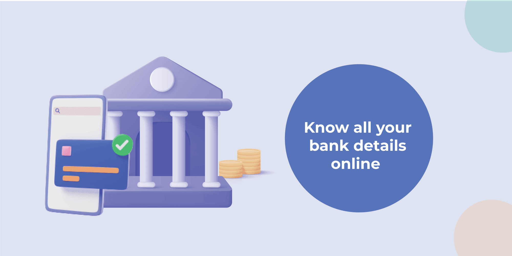 How to check my all loan details online?