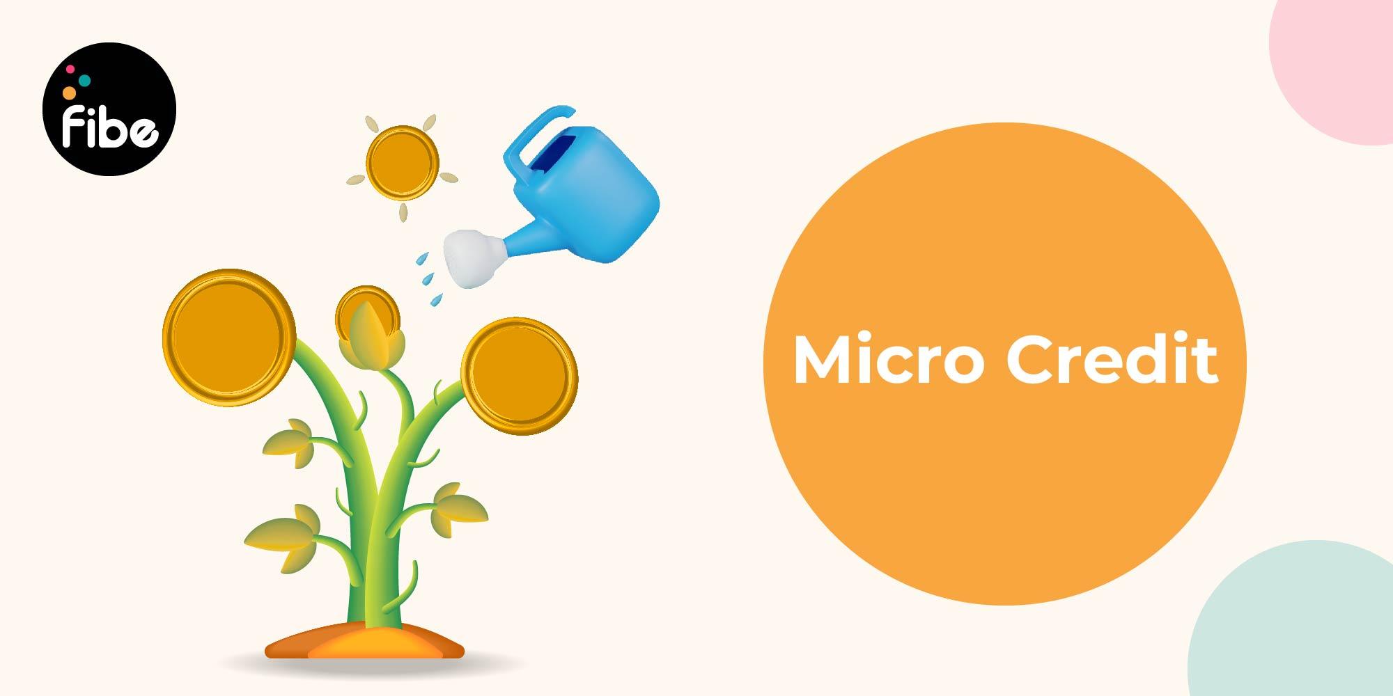 Microcredit: Understand Meaning, Features, Example and more